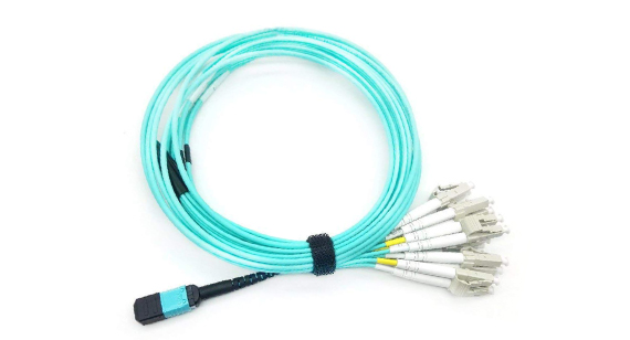 MPO patch cord